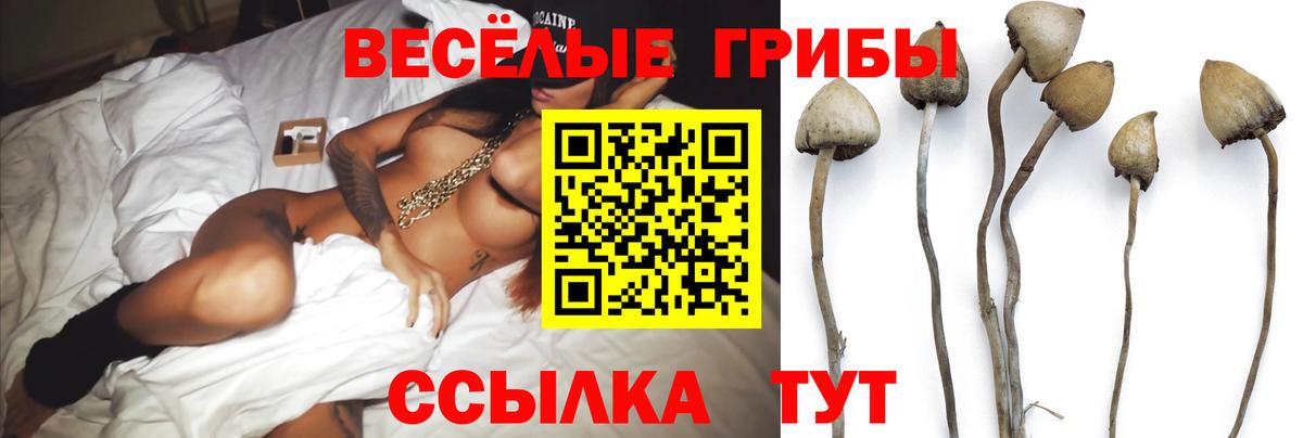 Псилоцибиновые грибы MAGIC MUSHROOMS  Вход с VPN  купить наркотики сайты  Краснознаменск  Псилоцибиновые грибы прущие грибы 