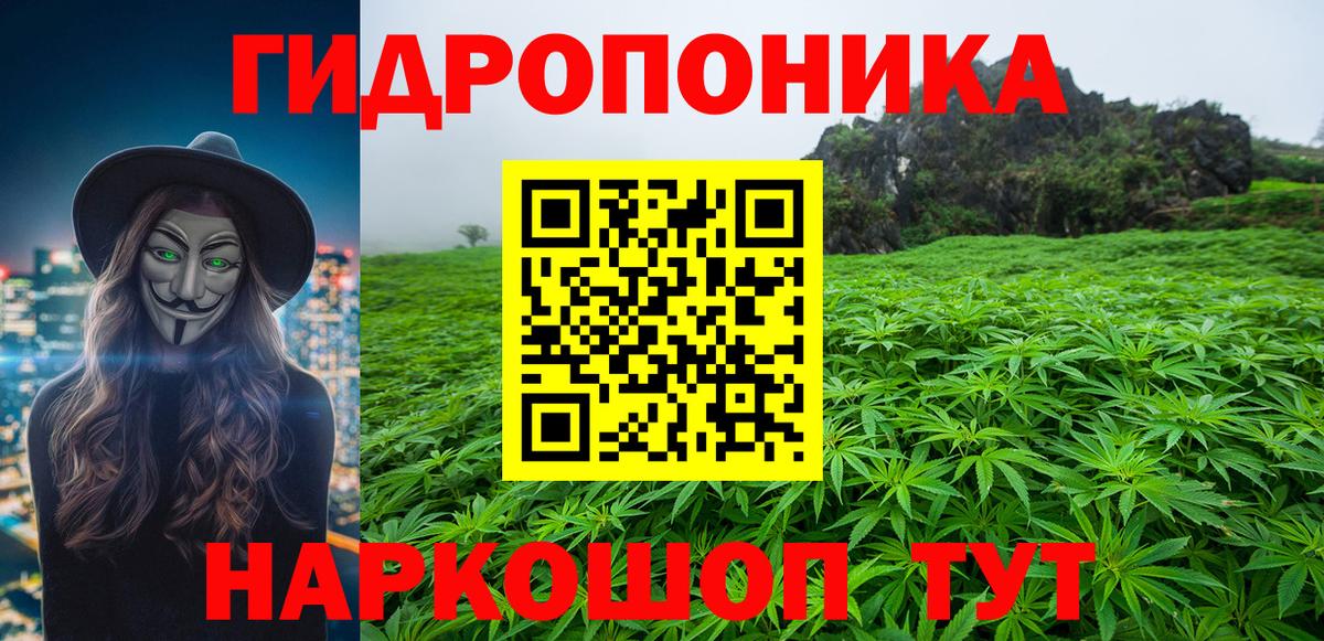 Каннабис план  Вход с VPN  Бошки марихуана гибрид  Каннабис ГИДРОПОН  Каннабис индика  Краснознаменск 